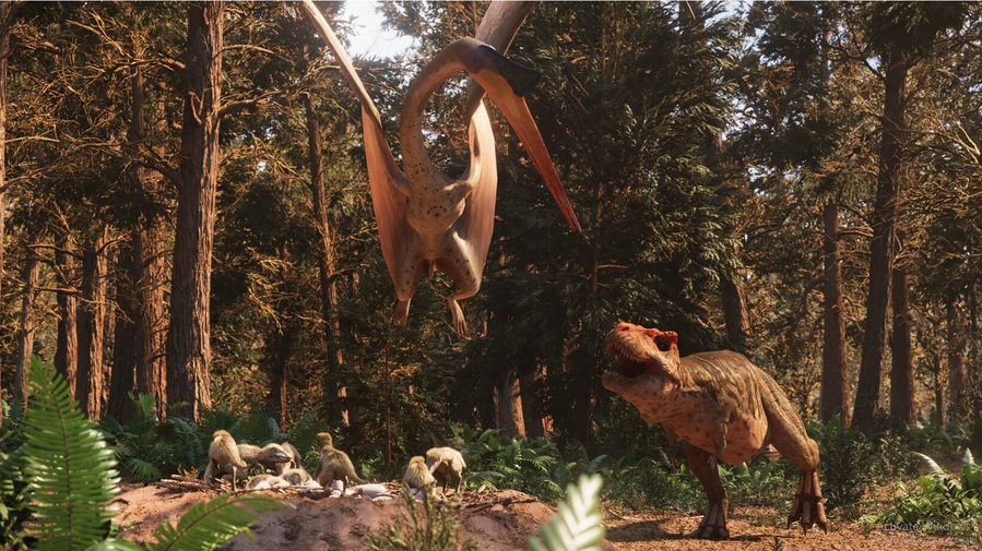 Ultimate T. Rex VR Experience, environment 5