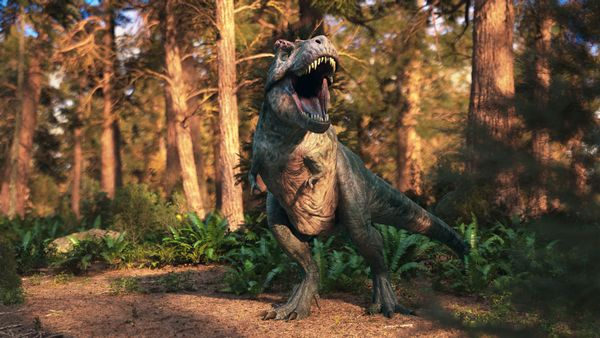 Ultimate T. Rex VR Experience, environment 1